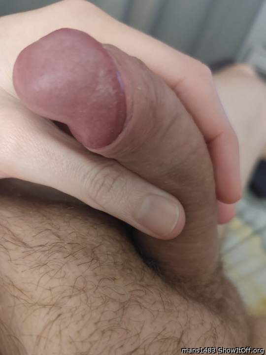 Adult image from mans1483