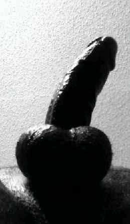 Adult image from Assman80