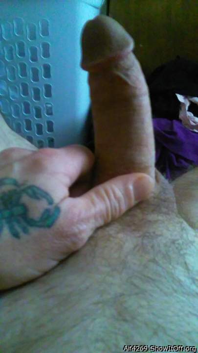 Adult image from Alf4269