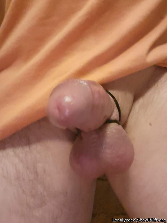 Adult image from Lonelycock