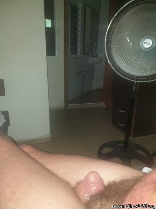 Adult image from tencem