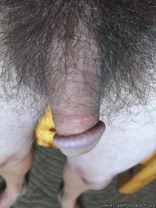 Adult image from Steve116969