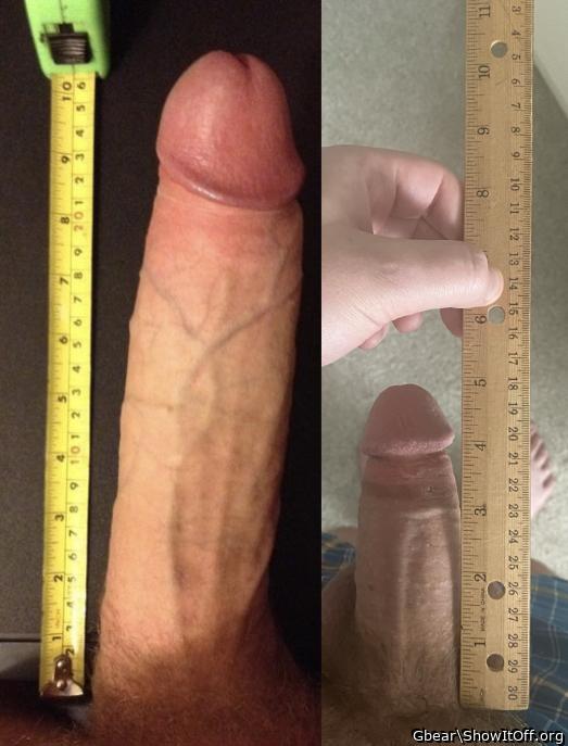 Adult image from Gbear