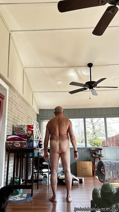 Adult image from jimbobi