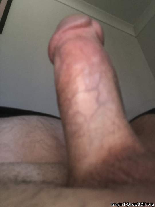 Adult image from hrnym1