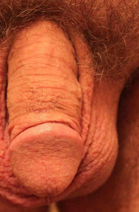 Adult image from lilsoftee