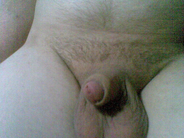 Adult image from 450