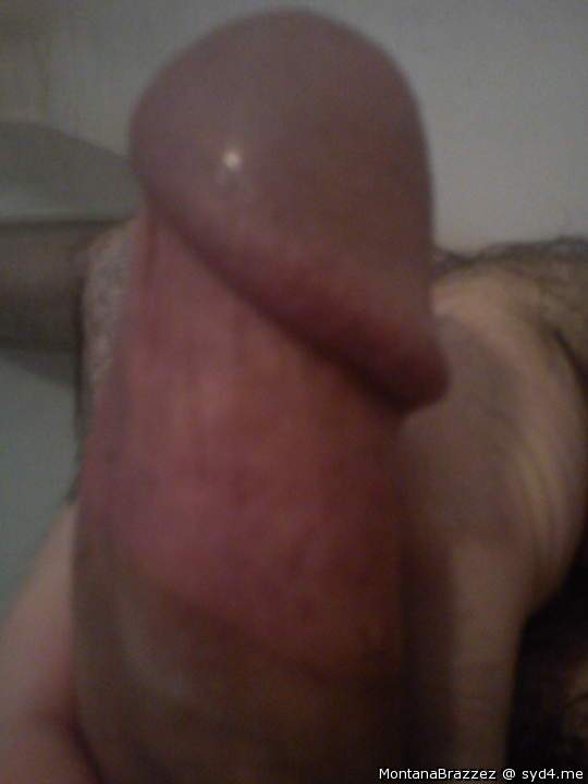 Adult image from Montanabrazzez