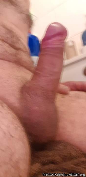 Adult image from MYCOCK66