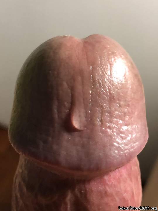 Adult image from Saku