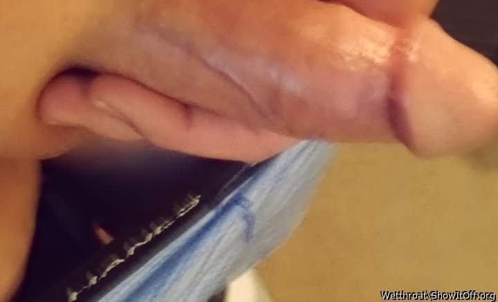 Adult image from Wetthroat