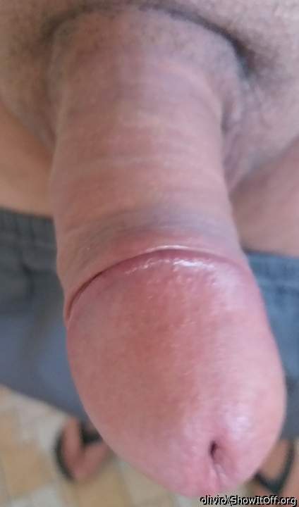 Adult image from olivio