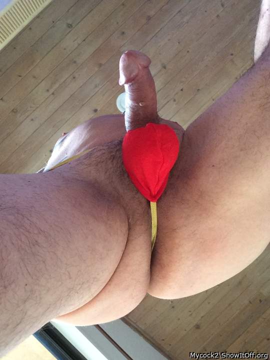 Adult image from Mycock2