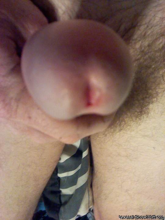 Adult image from texasal