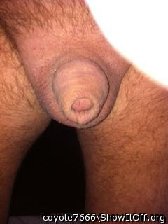 Adult image from coyote7666