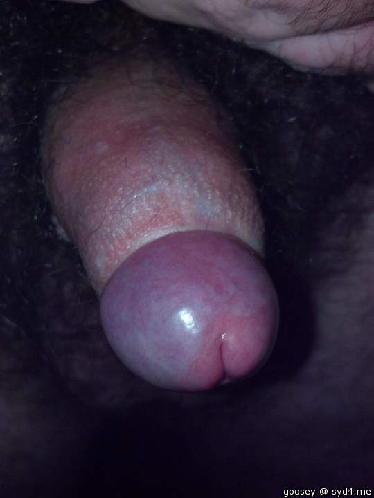 Adult image from Goosey