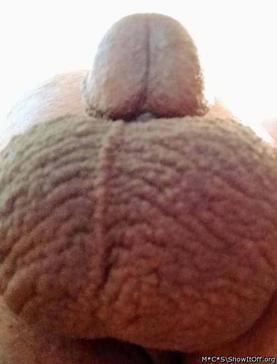 Adult image from M*C*S