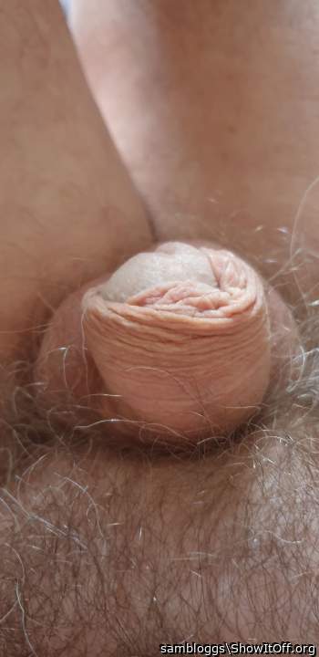 Adult image from sambloggs