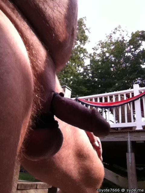Adult image from coyote7666
