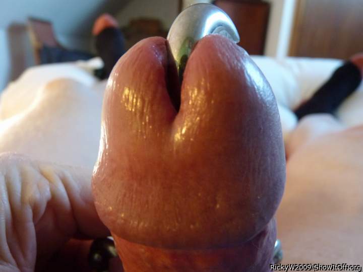 Christmas Cock