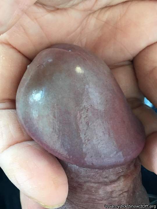 Adult image from ilovemydick