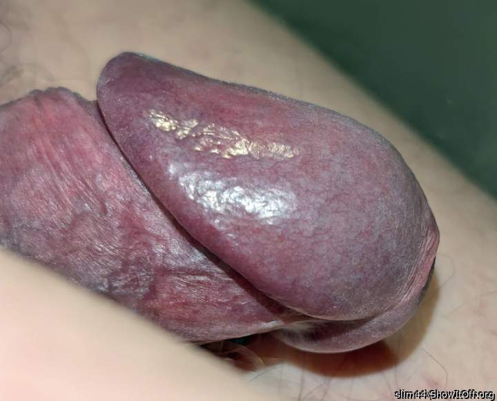 Hard Shiny Cockhead