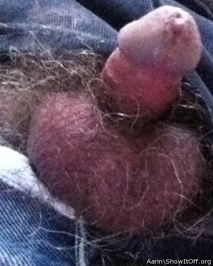 Adult image from Arinn