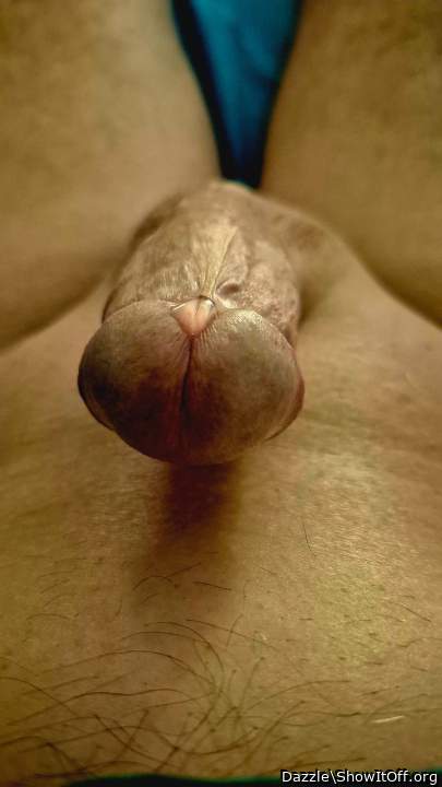 Adult image from Dazzle
