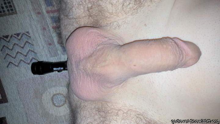 MagLite In Ass 4