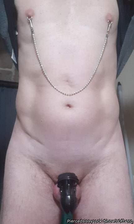 Adult image from Piercedsissycock