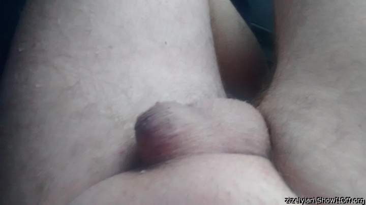 Adult image from zizelyian