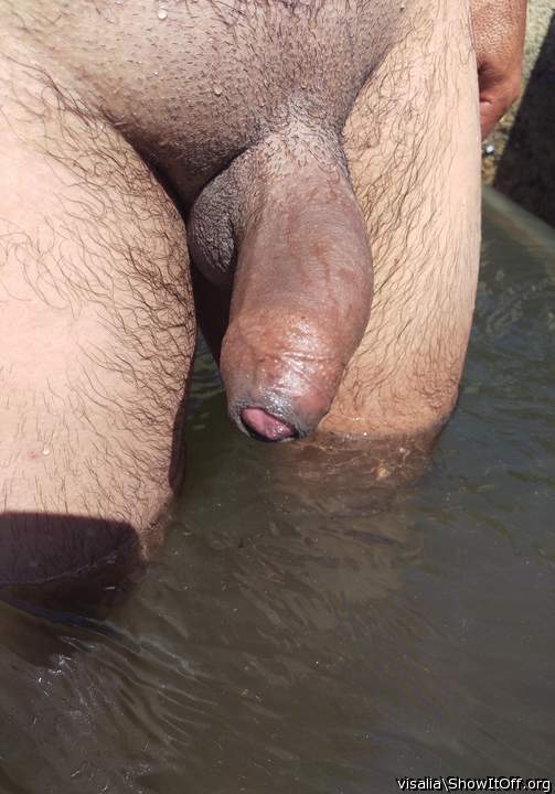 Adult image from visalia
