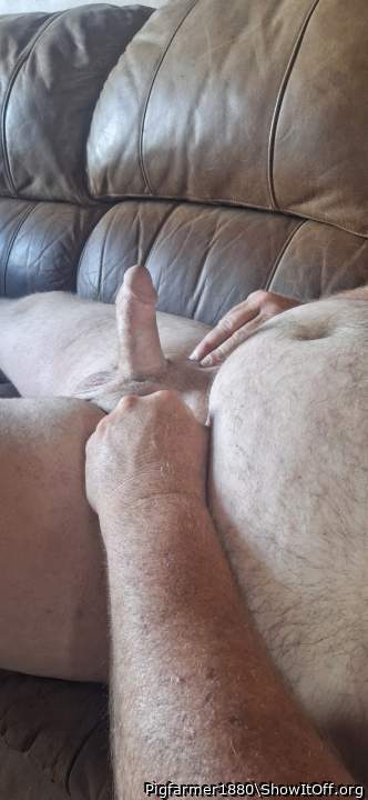 Adult image from Pigfarmer1980