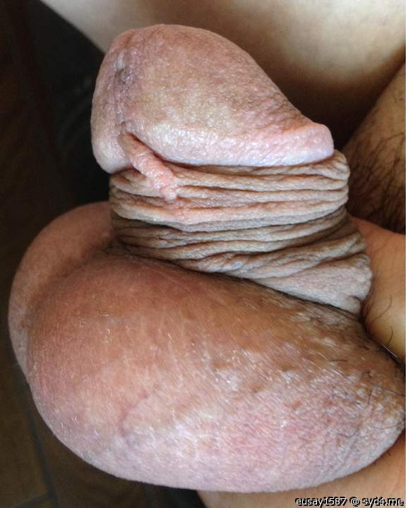 Adult image from eusay1587
