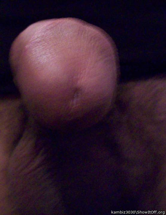 Adult image from kambiz3030