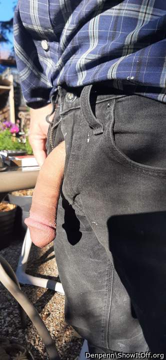 Adult image from Denpenn