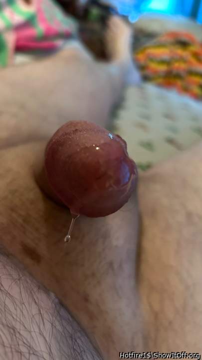 Adult image from Hotfire1$