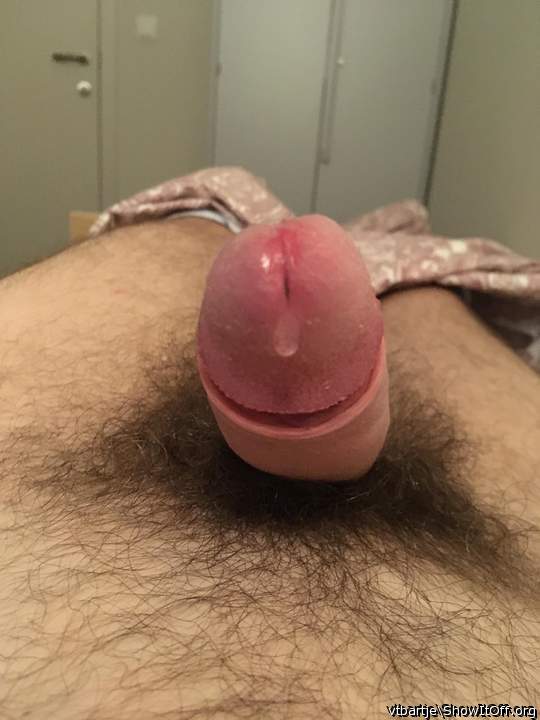 Adult image from vtbartje