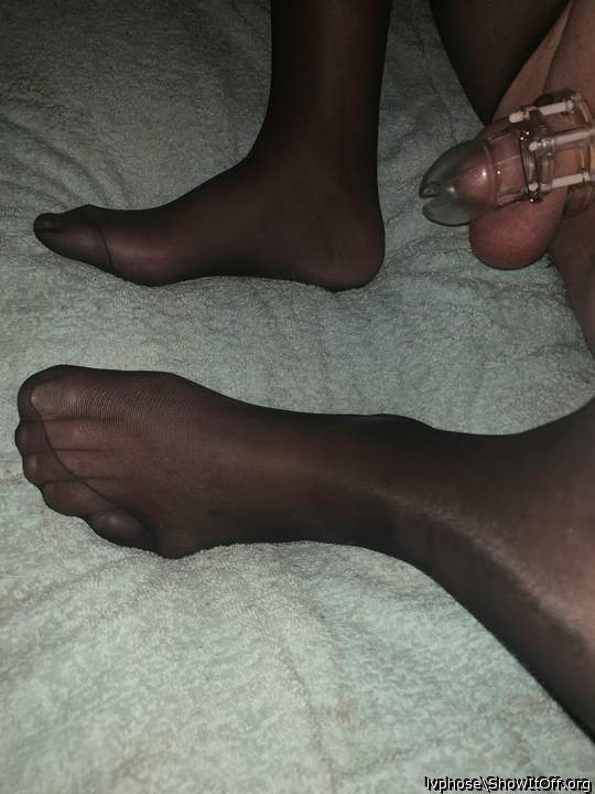 Adult image from Lvphose