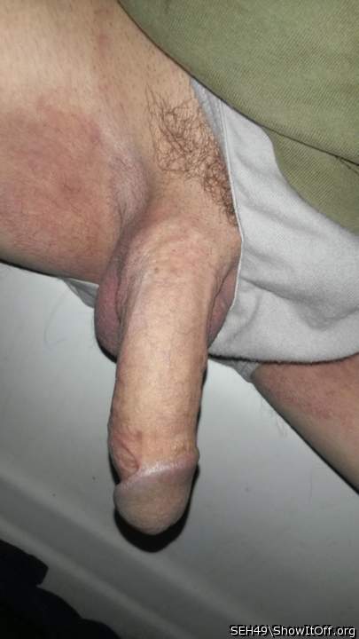 Adult image from SEH49