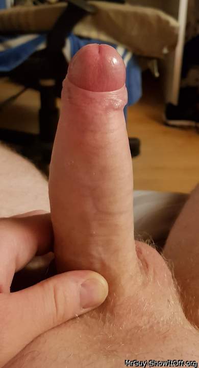 Adult image from MrGuy