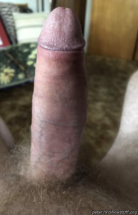 Adult image from peter79