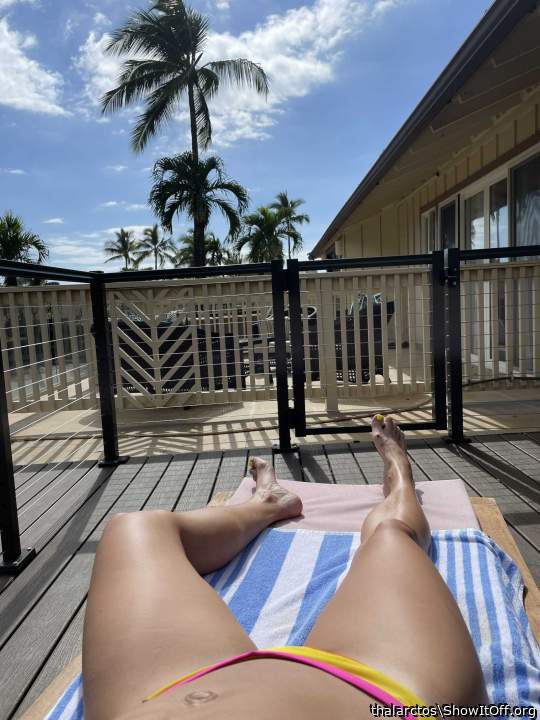 Bikini 8