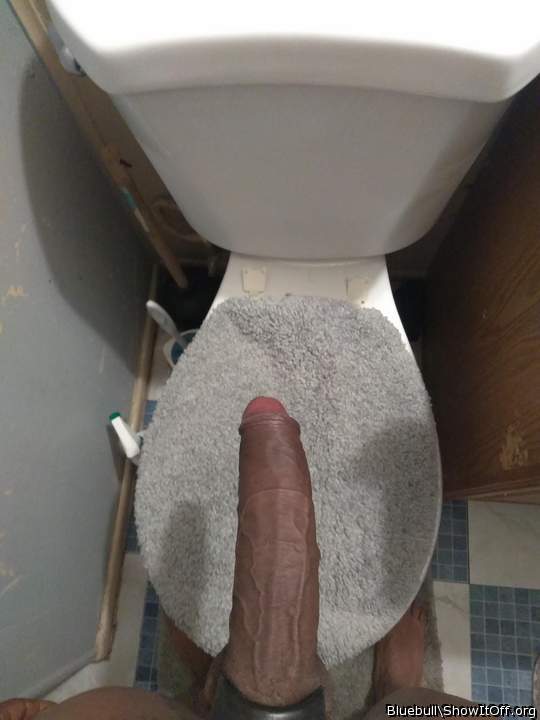 Adult image from bluebull