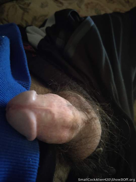 Adult image from SmallCockAlien420