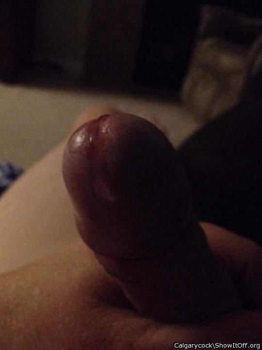 Adult image from Calgarycock