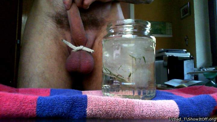 Prepared to freeze my balls