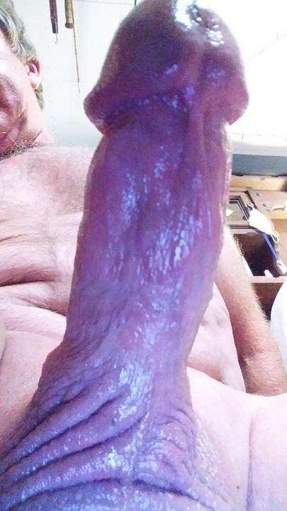 Adult image from fish4free