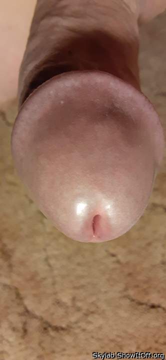 Adult image from Skylab