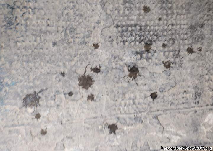 Sperm on the ground